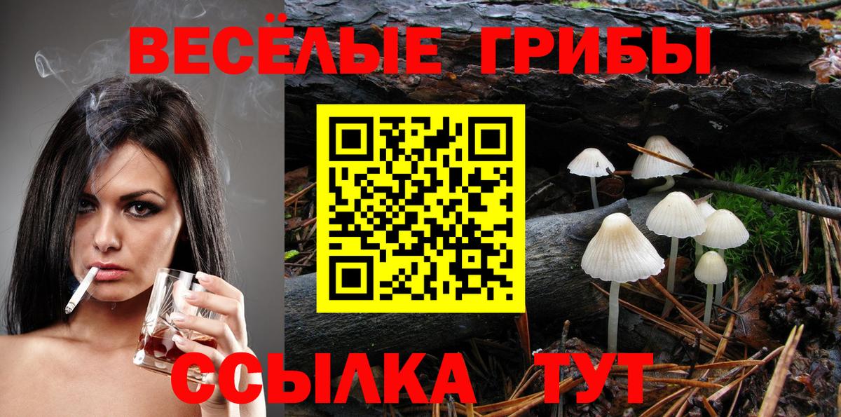 Минеральные Воды  Галлюциногенные грибы мухоморы  Вход с VPN 