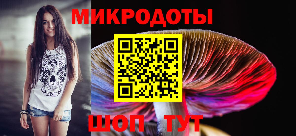 Псилоцибиновые грибы мухоморы Минеральные Воды